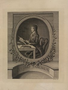 Sydney Parkinson, 