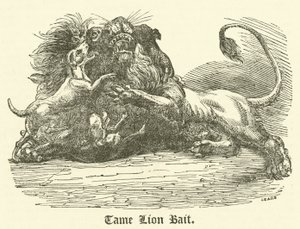 Sen Leon Yemi (Gravür) by English School