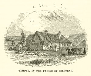 Temple, Selborne Bölgesinde (gravür) by English School