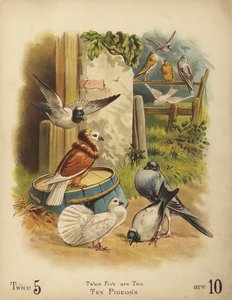 On Güvercin (chromolitho) by English School