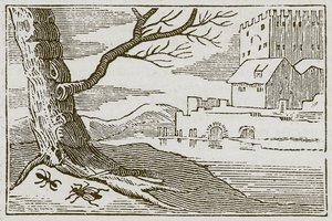 Karınca ve Sinek (gravür) by English School