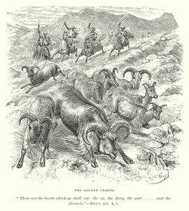 The Aoudad Chased (gravür) by English School