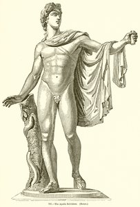 Apollo Belvidere. (Roma) by English School