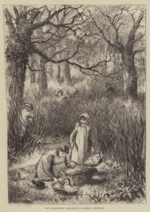 Beaconsfield Yıldönümü, Primroses toplama (gravür) by English School