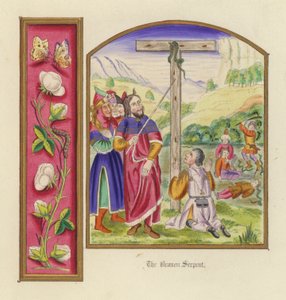 Yüzsüz Yılan (renkli taş) by English School