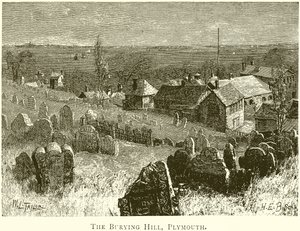 Gömme Tepesi, Plymouth by English School