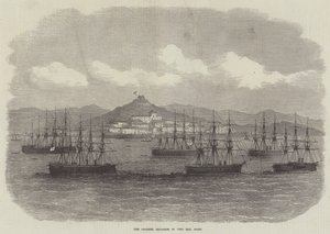 Vigo Bay, İspanya