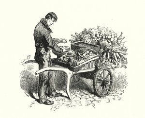 Costermonger (gravür) by English School
