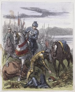 Bosworth Field