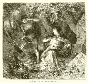 Caius Gracchus