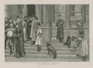 Köpek Sorusu - Giriş yok by English School