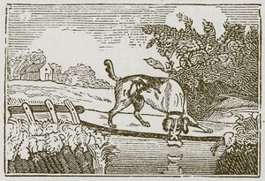 Köpek ve Gölge (gravür) by English School