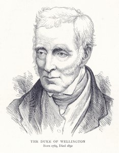 Wellington Dükü by English School