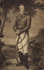 Wellington Dükü by English School