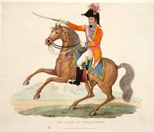 Wellington Dükü, pub. Richard Evans, engr Romney, William Mudford
