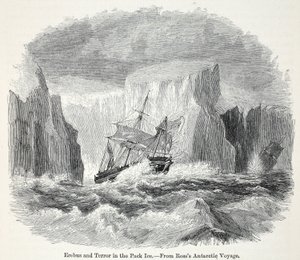 Erebus ve Buzdağları Arasındaki Terör by English School