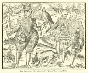Falconer by English School