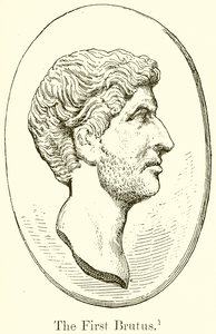 İlk Brütüs by English School