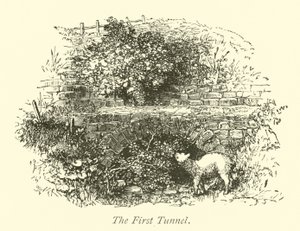 İlk Tünel by English School