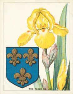 Fleur-de-lis (chromolitho) by English School
