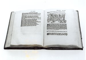 Tilki ve Üzümler, Aesops Fables