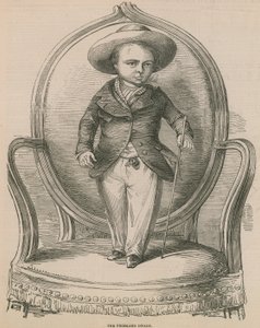 Friesland Cüce by English School