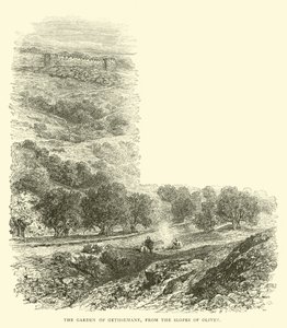 Gethsemane Bahçesi, Olivet