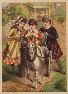 Keçi Şezlongu (renkli lito) by English School