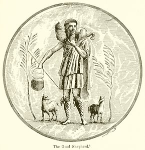 İyi çoban by English School