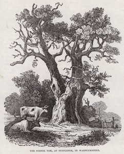 Gospel Oak, Stoneleigh, Warwickshire (gravür) by English School