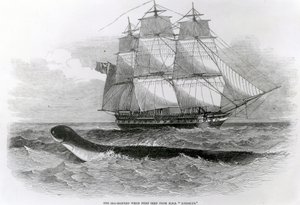 H.M.S.
