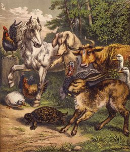 Tavşan ve Kaplumbağa (renkli taş) by English School