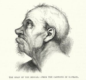 Dilencinin Başı, Raphael