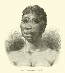 Hottentot Venüs by English School