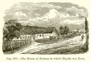 Haydn