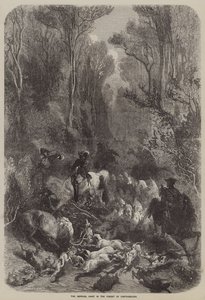 Fontainebleau Ormanı