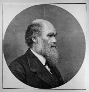 Geç Bay C. R. Darwin, FRS, LLD, The Illustrated London News, 29 Nisan 1882 by English School