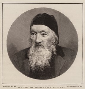 Geç Sir Richard Owen, KCB, FRS (gravür) by English School