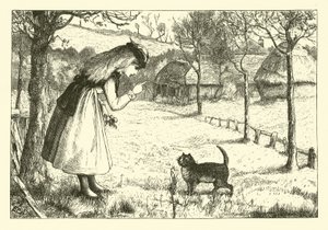 tembel kedi by English School