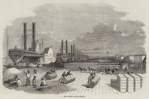 Levee, New Orleans
