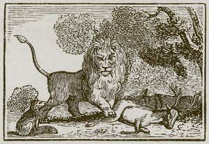 Aslan, Eşek ve Tilki (gravür) by English School