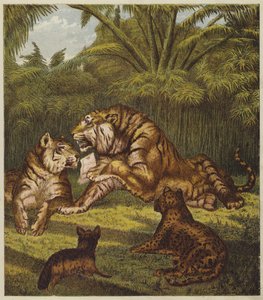 Aslan Resepsiyonu (renkli taş) by English School