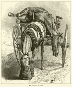 Yaşayanlar ve Ölüler (gravür) by English School