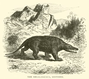Megalosaurus, restore edilmiş (gravür) by English School