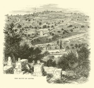 Zeytin Dağı by English School