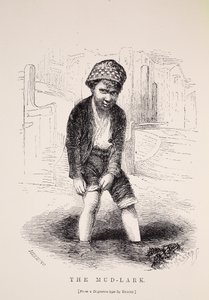 Mud-Lark, Richard Beard