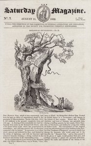 Nannau Meşe (gravür) by English School