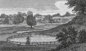 Yeni Nehir, Hertfordshire (gravür) by English School