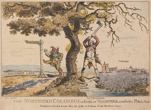 Northern Colossus veya Toadstool Kontu, pub. 1786 (el renkli gravür) by English School