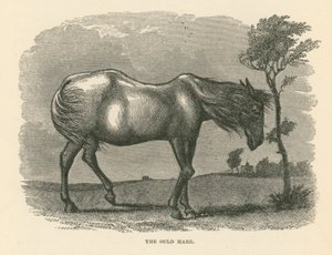 The Ould Mare (gravür) by English School
